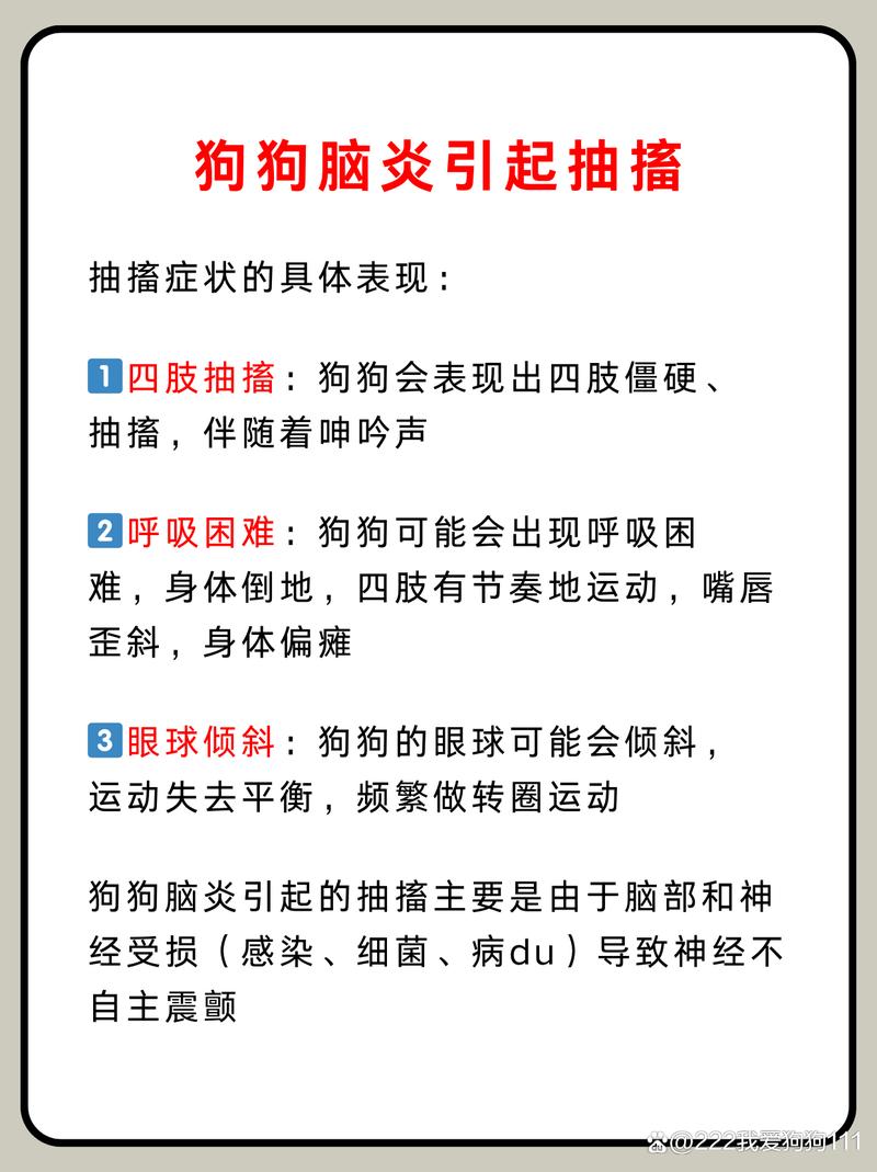 狗狗脑炎为什么突然发病