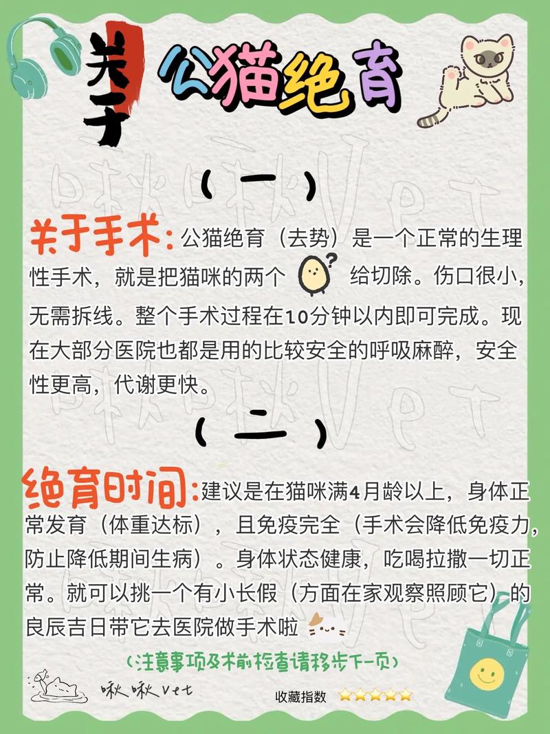 怎么自己动手给公猫绝育