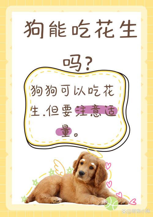 为什么狗狗吃花生