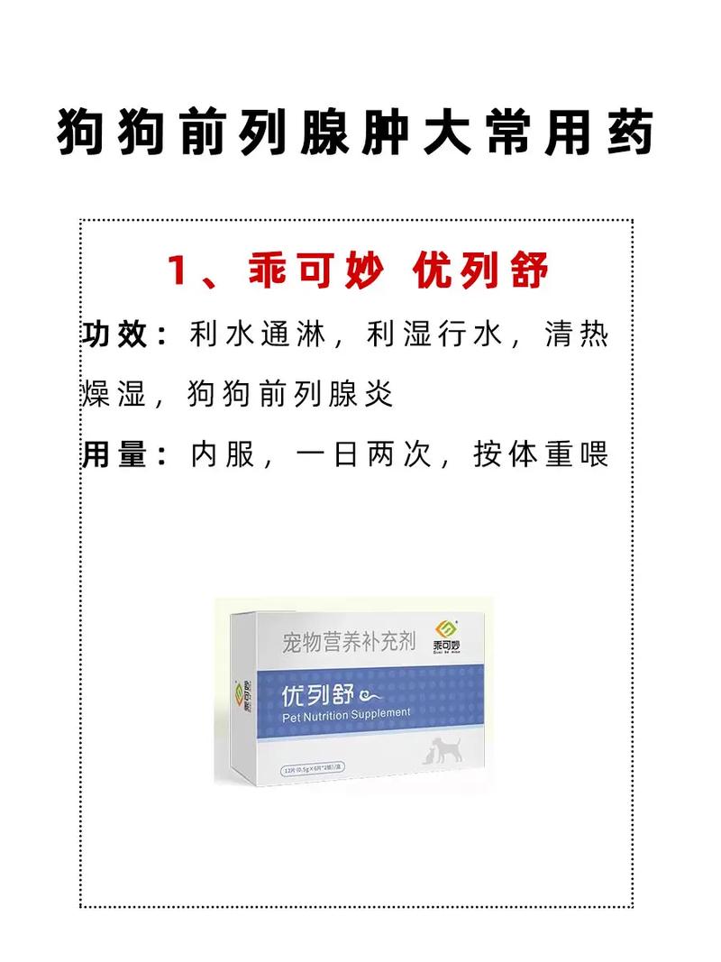 狗狗前列腺肿大怎么办