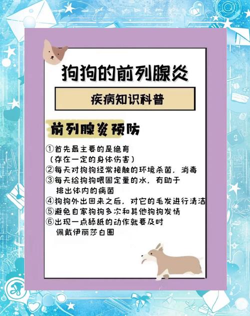 狗狗得了前列腺炎怎么办?