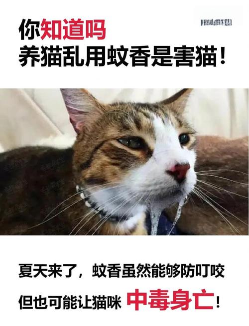 猫闻了几个小时蚊香有影响吗