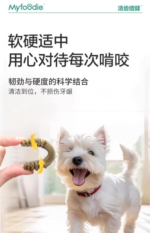 狗狗洁齿棒多久吃一次?