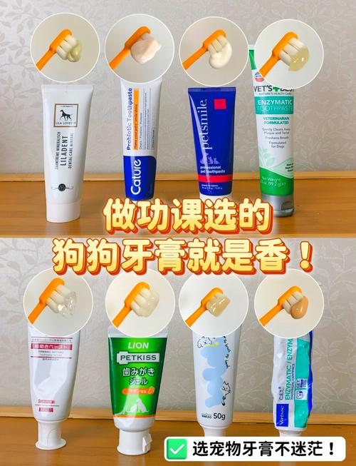 狗狗不小心吃了点人的牙膏怎么办