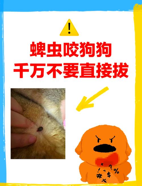 狗狗被蜱虫咬为什么没事