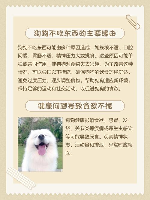 狗不吃东西是什么原因怎么治疗