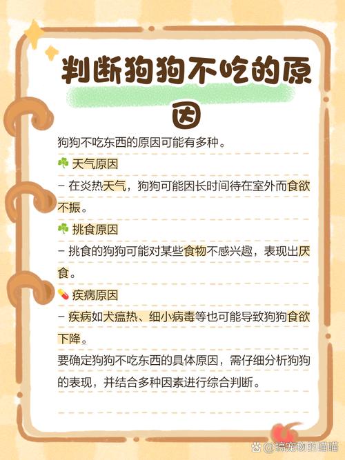 狗狗为什么总是不吃东西