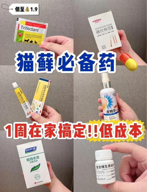 猫咪眼睛周围有猫癣怎么办