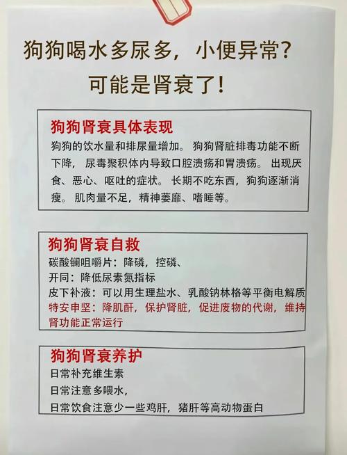 狗狗饮水多、狗狗尿多、狗狗尿特别多怎么办