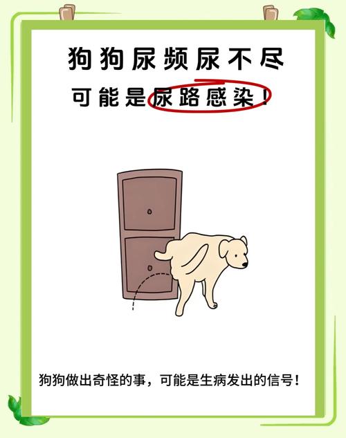 请问狗狗尿多尿频怎么回事?