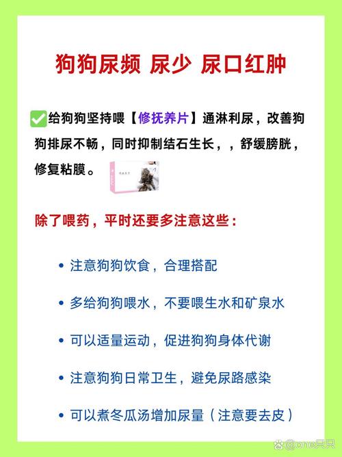 狗狗尿多尿频怎么回事?