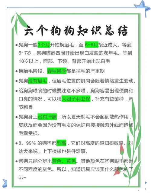 止吠的前提是要搞清楚吠叫的原因,如何让你的狗狗停止吠叫呢?