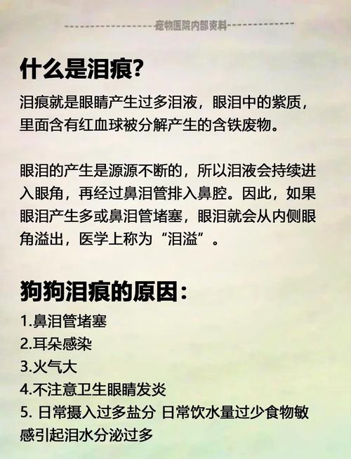狗狗为什么经常流眼泪?如何处理以及注意事项
