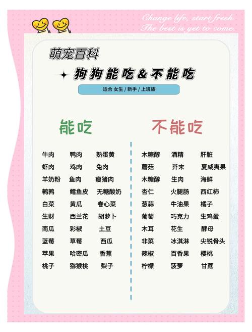 狗狗不能吃的食物有哪些?