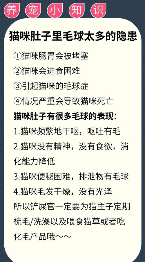猫咪肚子有毛球会出现哪些症状,猫咪患有毛球症?