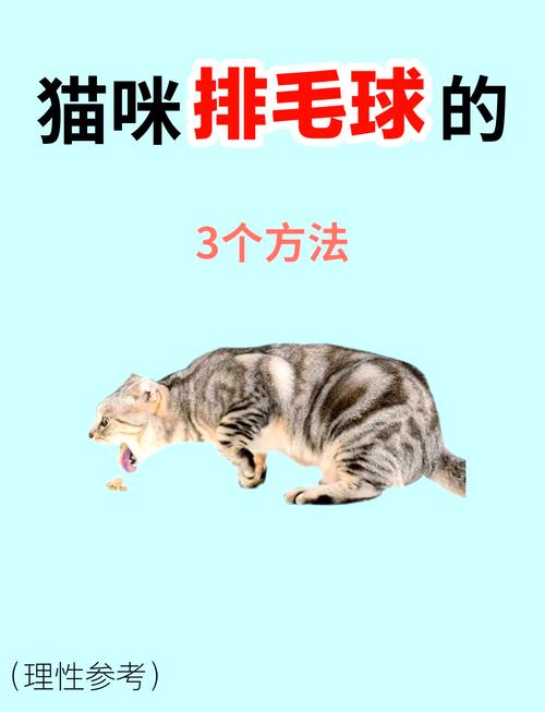 猫肚子里有毛球症状