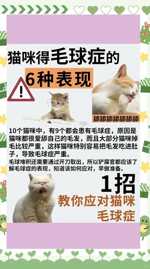 猫咪肚子里有毛球是什么症状?