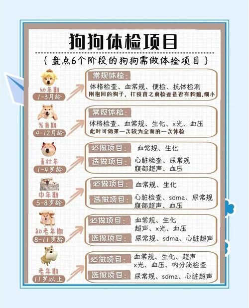 多长时间给狗狗体检一次
