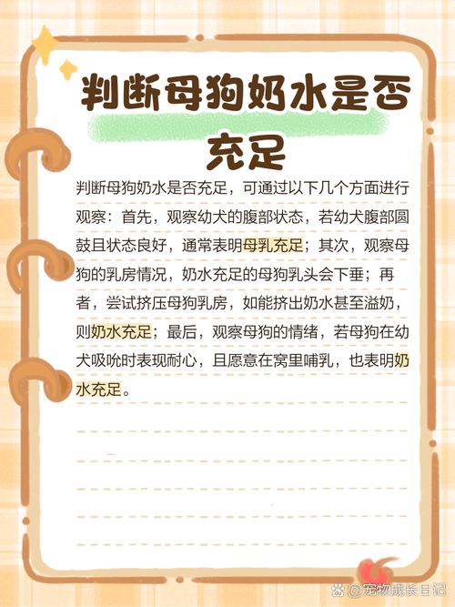 狗吃什么催奶最快