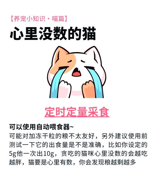 流浪猫一天喂一次够吗