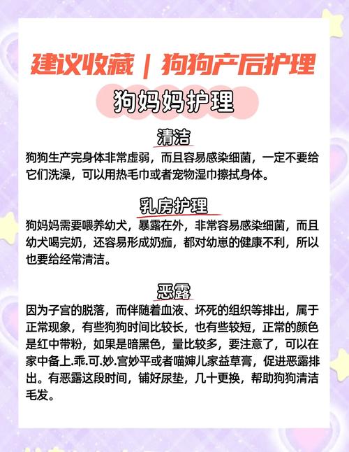 怎么照顾坐月子的狗狗?