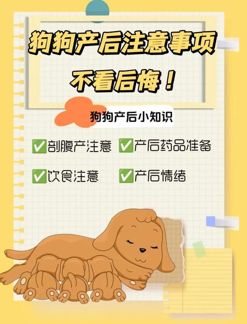 狗狗哺乳期可以洗澡吗