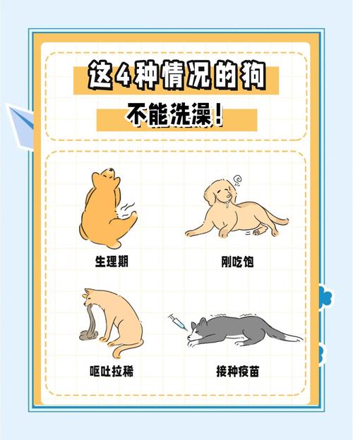 狗狗生产后多久能洗澡