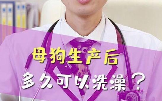 狗狗生了宝宝多久可以洗澡