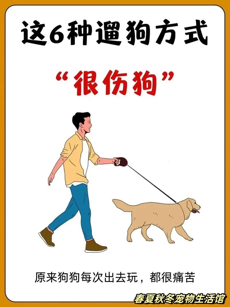 遛狗时狗狗总是很犟不肯回家怎么办?