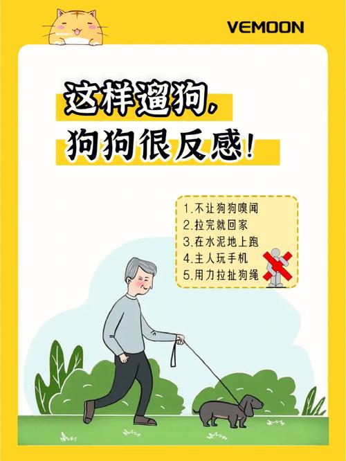 外出遛狗,狗狗不愿意回家该怎么办?