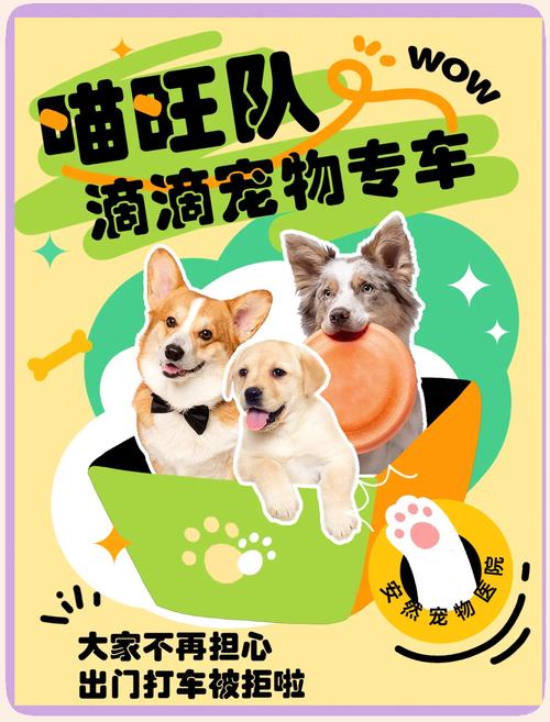 打车能带宠物吗