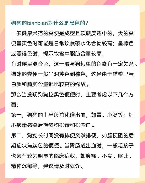 狗狗拉黑便是怎么回事?