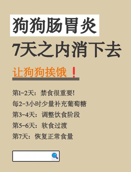 狗狗肠胃炎一般几天恢复