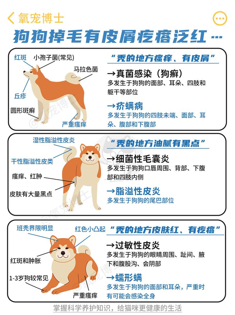 狗狗身上痒用什么洗澡