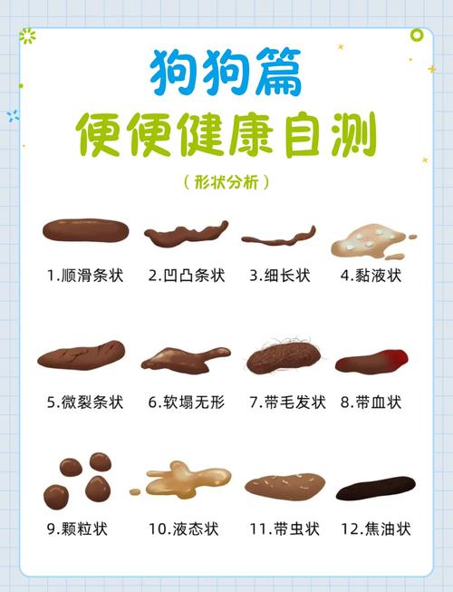 狗狗拉屎很细是为什么