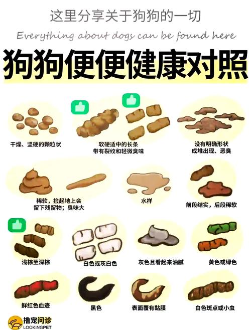 我家狗狗拉出的是面条形的便便?