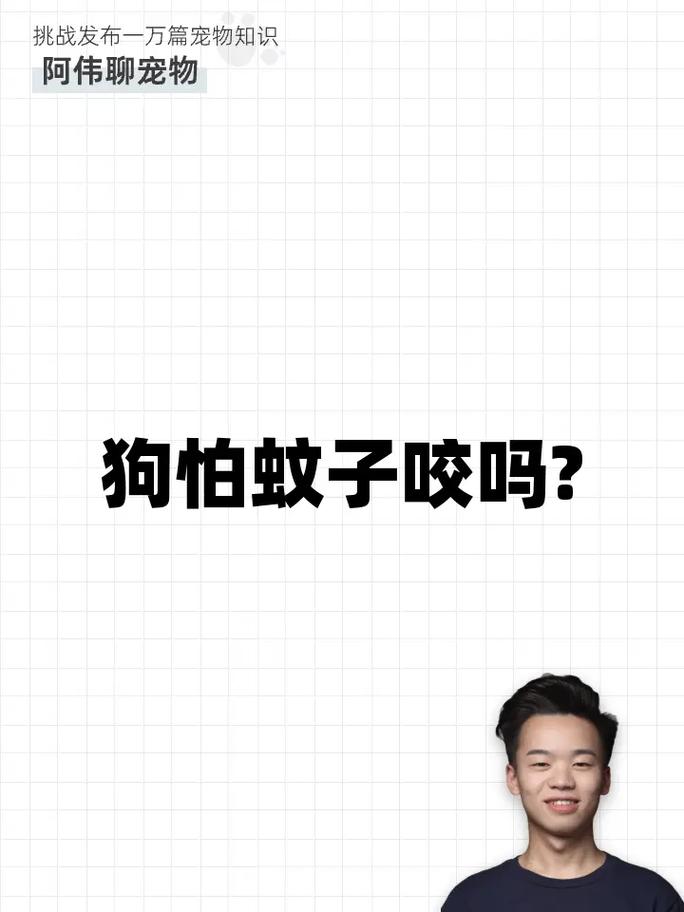 狗关外面怕蚊子咬吗