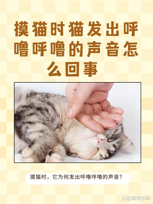 猫咪发出“咕噜声”的5种含义,你了解几种?