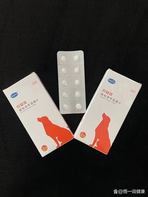 狗狗上火了吃什么降火狗狗上火怎么办最有效