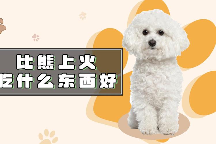 狗狗上火了怎么办