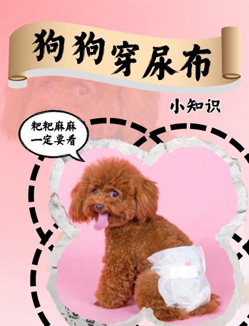 狗狗的尿不湿怎么用的
