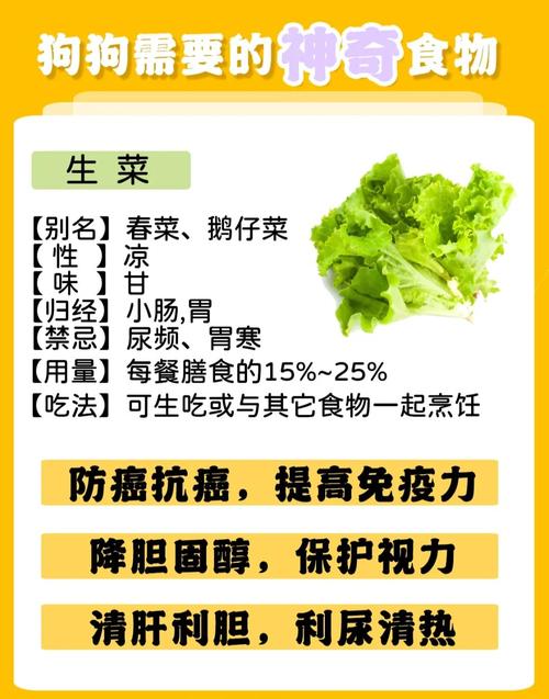 50天的狗狗可以吃生菜吗