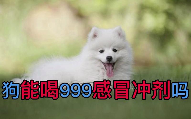 狗狗被喂了999感冒灵之后是否中毒了?它的脖子总是往后扬,走路都不稳...