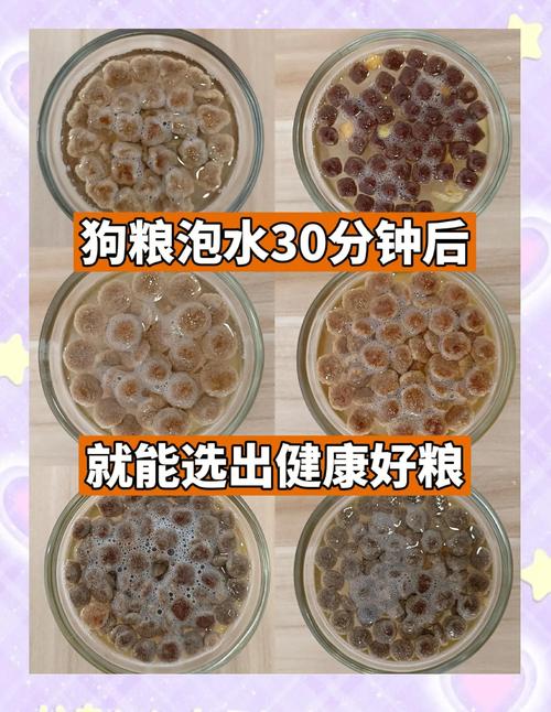 狗狗几个月不用吃泡的狗粮