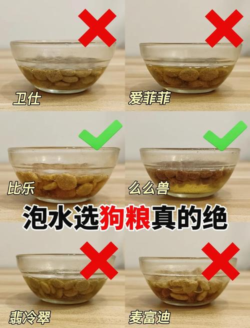 四个月的比熊犬吃狗粮需要泡着吃吗?