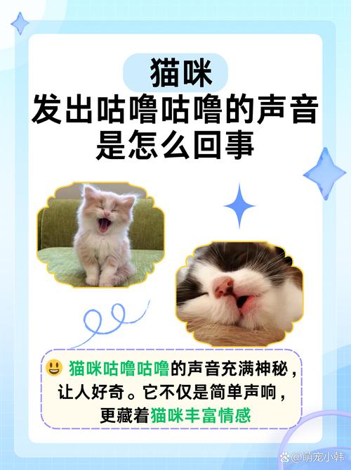 小猫一直呼噜呼噜的叫还一直蹭你