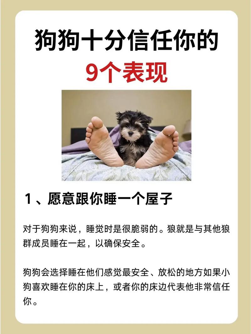 怎么取得狗狗的信任