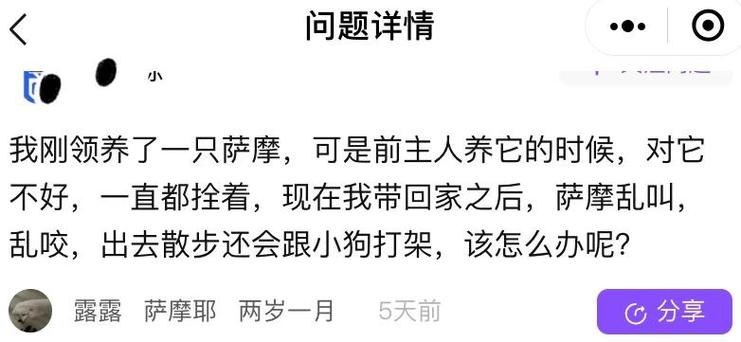 如何与狗狗建立信任