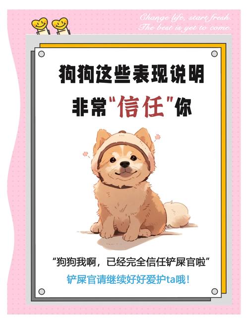 如何让狗狗信任主人呢