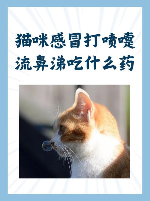 猫感冒了自己多久能好
